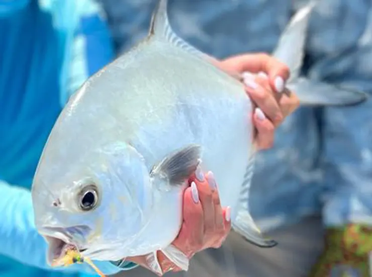 Cancun Fly Fishing Pictures