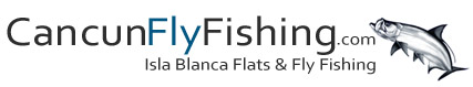 Fly Fishing Logo